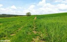 działki rolne i leśna, Żurawnica, gm. Zwierzyniec - 10