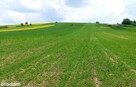działki rolne i leśna, Żurawnica, gm. Zwierzyniec - 5