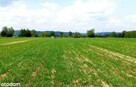 działki rolne i leśna, Żurawnica, gm. Zwierzyniec - 6