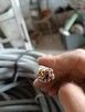 Kabel 5x6 linka OLFLEX CLASSIC 110 siła - 1