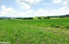 działki rolne i leśna, Żurawnica, gm. Zwierzyniec - 8