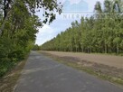 Działki rolne o powierzchni 1,24 ha - Bądków Pierwszy - 6