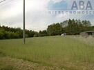 Działki rolne o powierzchni 1,24 ha - Bądków Pierwszy - 13