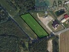 Działki rolne o powierzchni 1,24 ha - Bądków Pierwszy - 2
