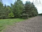 Działki rolne o powierzchni 1,24 ha - Bądków Pierwszy - 11