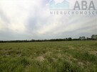 Działki rolne o powierzchni 1,24 ha - Bądków Pierwszy - 15