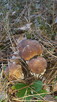 Pokoje gościnne - 3