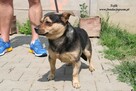 Tofik - wystraszony maluch - 2