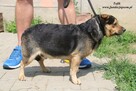 Tofik - wystraszony maluch - 6
