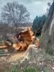 ARBOR 601 586 913 Pielęgnacja i Wycinka drzew Wrocław. - 1