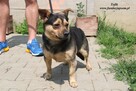 Tofik - wystraszony maluch - 3