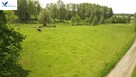 Działka rolna Kucze gm. Kalinowo - 4
