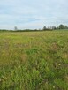Działka budowlana o powierzchni 1332 m2 w Bożnowie - 4