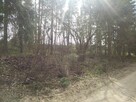 Sprzedam działkę leśną - 5