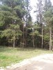 Sprzedam działkę leśną - 4