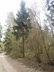 Sprzedam działkę leśną - 3