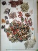 W oferta przedstawia dużą kolekcję kamieni 2011 sztuk kamie - 4