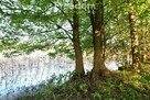 Działka rolno-budowlana  o pow. 1,0078 ha, - 9
