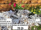 doniczki ozdobne donica głowa skrzaty krasnale ogrodowe - 5