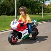 NOWOŚĆ Motor Elektryczny Ducati 12V - 4