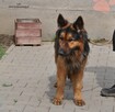 Laki - 3