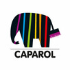 Caparol Putzgrund 610 25kg środek gruntujący ( cerplast ) - 2