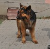 Laki - 2