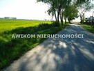 Działka Grodzisk Mazowiecki Kłudno Nowe - 6
