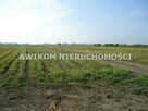 Działka budowlana Grodzisk Mazowiecki Chlebnia - 6