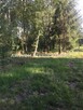 Działka budowlana Grodzisk Mazowiecki Janinów - 5