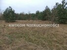 Działka rolna Skierniewice Rawka - 2