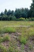 Działka budowlana Grodzisk Mazowiecki Makówka - 2