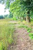 Działka budowlana Grodzisk Mazowiecki Makówka - 3