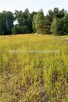 Działka budowlana Grodzisk Mazowiecki Makówka - 6