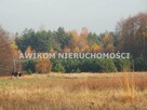 Działka siedliskowa Skierniewice Borowiny - 1