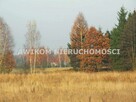 Działka rolna Skierniewice Borowiny - 2