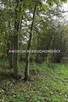 Działka budowlana Jaktorów Budy-Grzybek - 2