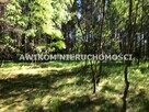 Działka leśna Nidzica Wały - 4