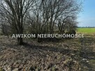 Działka budowlana Banie Mazurskie Widgiry - 4