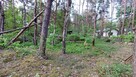 Działka w otoczona zielenią w Zagościncu - 9