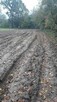 Sprzedam nieruchomość rolną - 3