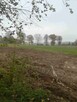Sprzedam nieruchomość rolną - 4