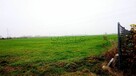 Działka budowlana Zalasewo gm. Swarzędz, Spacerowa - 6