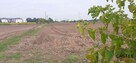 Działka budowlana Zalasewo gm. Swarzędz, Spacerowa - 14