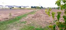 Działka budowlana Zalasewo gm. Swarzędz, Spacerowa - 15