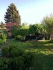 Działka ROD Olsztyn - Wójtowa Rola - 1