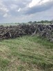 Karpina, korzenie, opał, biomasa, cena 5 pln za 1 mp3, dowó - 7