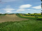 Działka rolno-budowlana Łapszów gm. Koszyce - 10