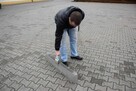 Chwytak walizkowy do krawężników Mimal RCW - 5