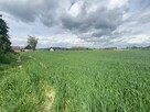 Działka Bardzo Atrakcyjna - 7